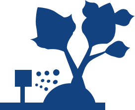 Plant with Drip Icon