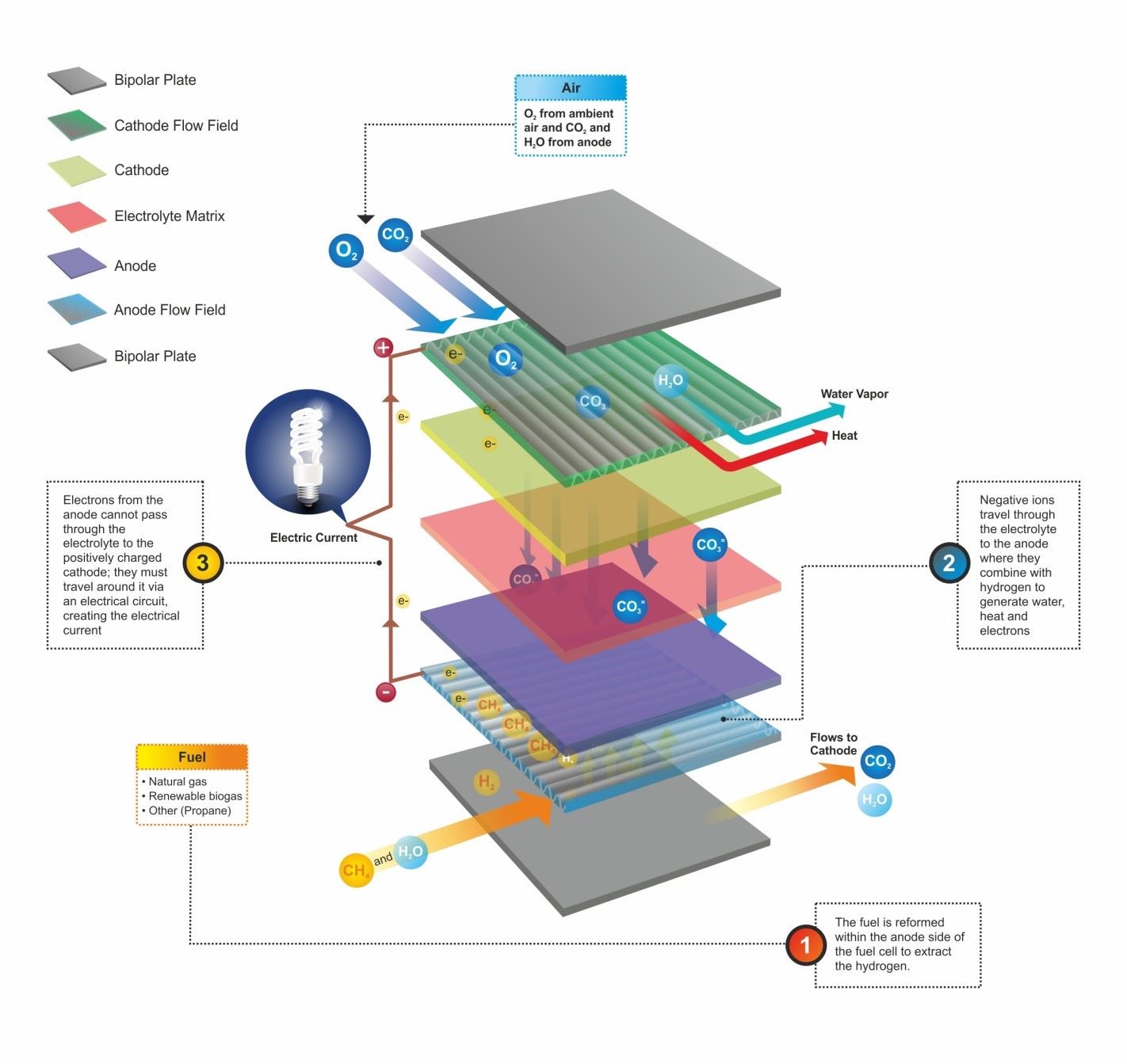 Diagram of the Fuel Cell System